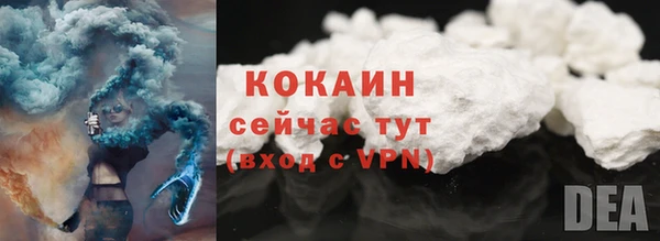 винт Карпинск