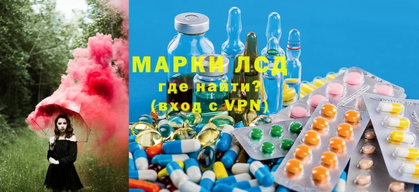 крисы Билибино