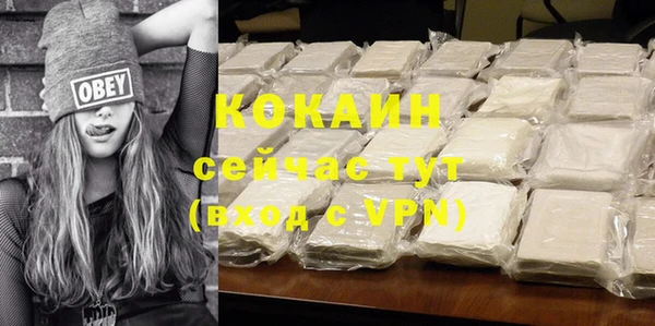 винт Карпинск