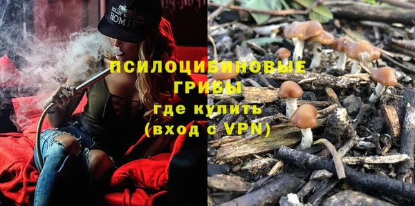винт Карпинск
