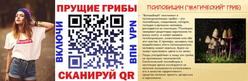 площадка телеграм  Ликино-Дулёво  Галлюциногенные грибы Cubensis 